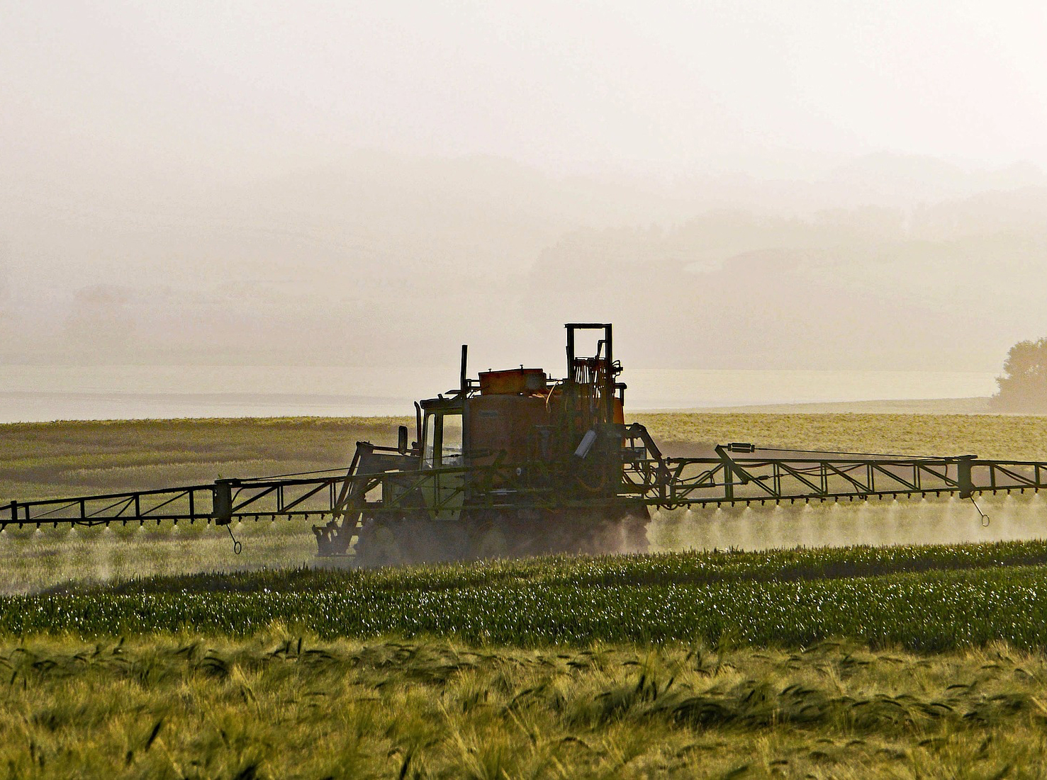 konventionelle landwirtschaft
